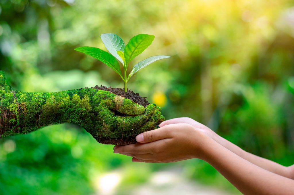 Produits bio ou recyclés
